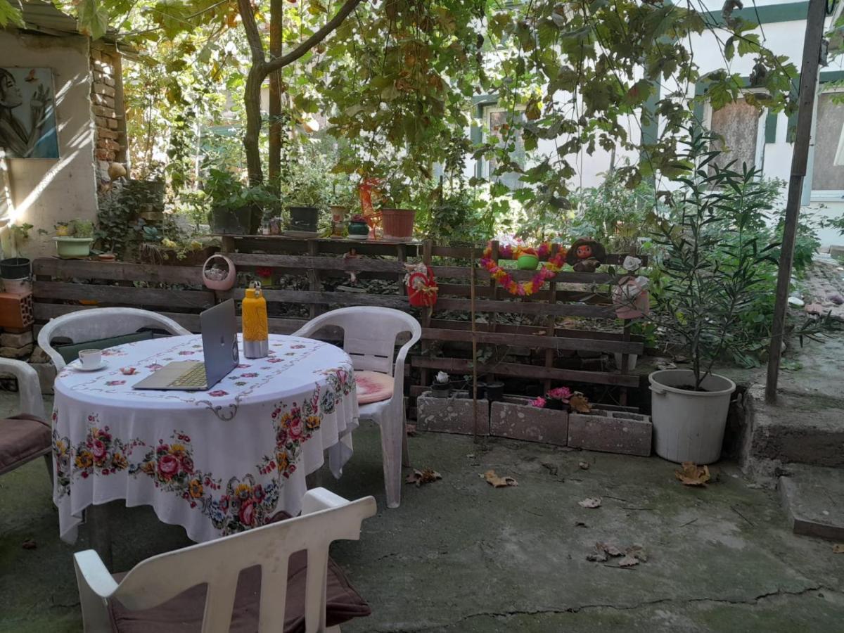 Adem'S Cozy Terrace Retreat Bed and Breakfast Σκόπια Εξωτερικό φωτογραφία