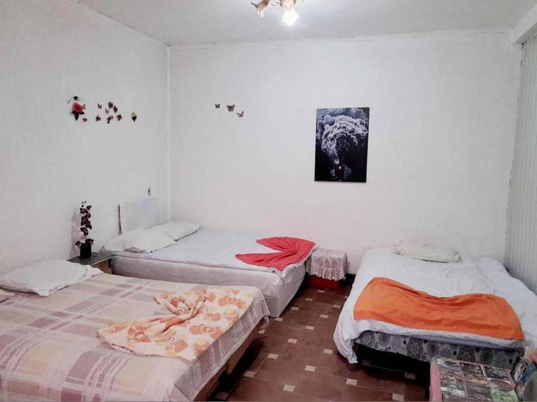 Adem'S Cozy Terrace Retreat Bed and Breakfast Σκόπια Εξωτερικό φωτογραφία